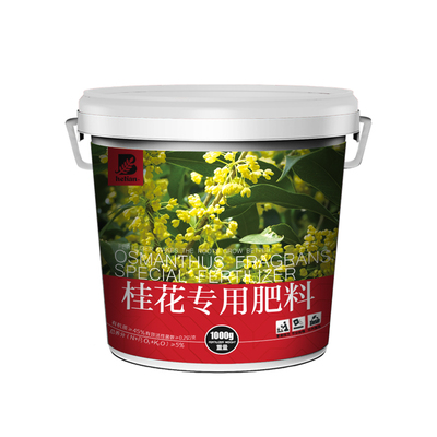 有机绿植金桂树苗颗粒缓释肥包邮