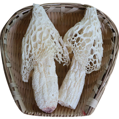 短裙竹荪肉肥厚无硫熏