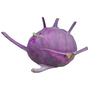 紫苤蓝种子青丕蓝疙瘩种孑秋冬菜种适合冬天种的蔬菜种籽高产早熟