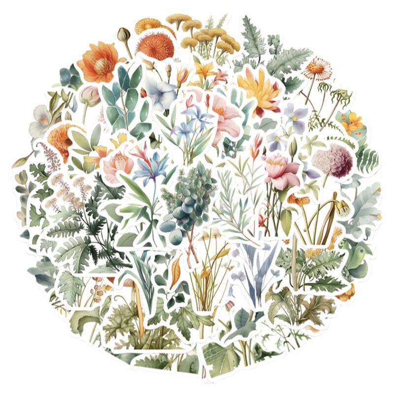 50张植物花朵插画装饰防水贴纸