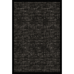 家用新款黑色客厅茶几地毯轻奢高级感免洗可擦卧室床边毯隔音地垫