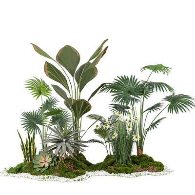 热带雨林仿真植物造景绿植景观