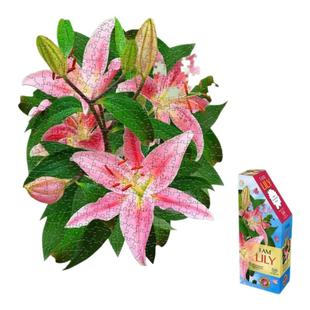 美国MADDCAPP成人解压玩具高难度异形拼图-350片百合花