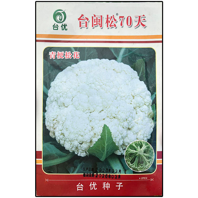 台闽松70天松花菜杂交高产菜种子