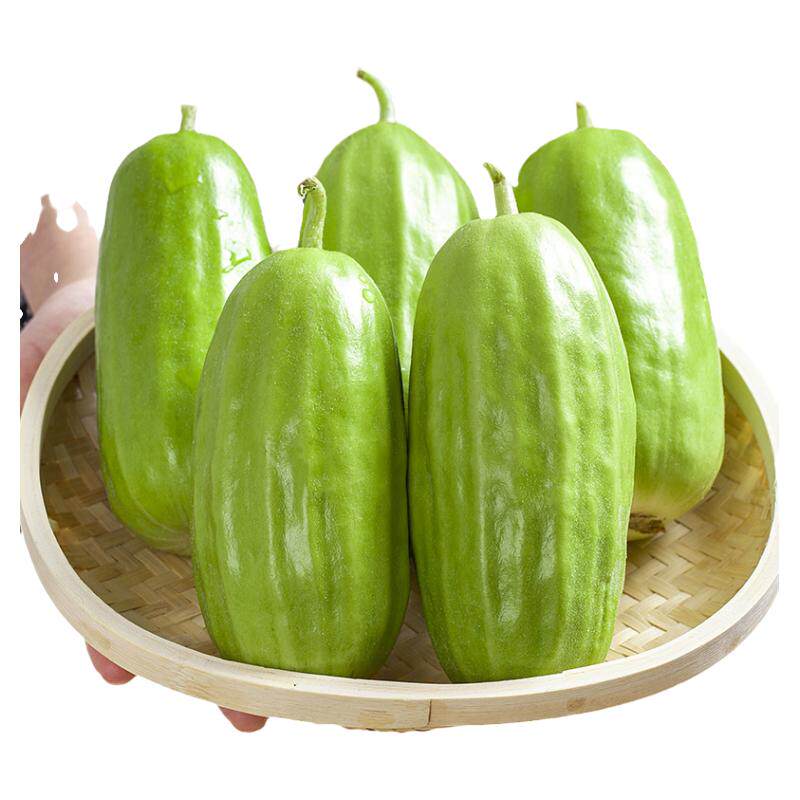 河北头茬八棱菜瓜新鲜脆瓜烧瓜水西葫芦