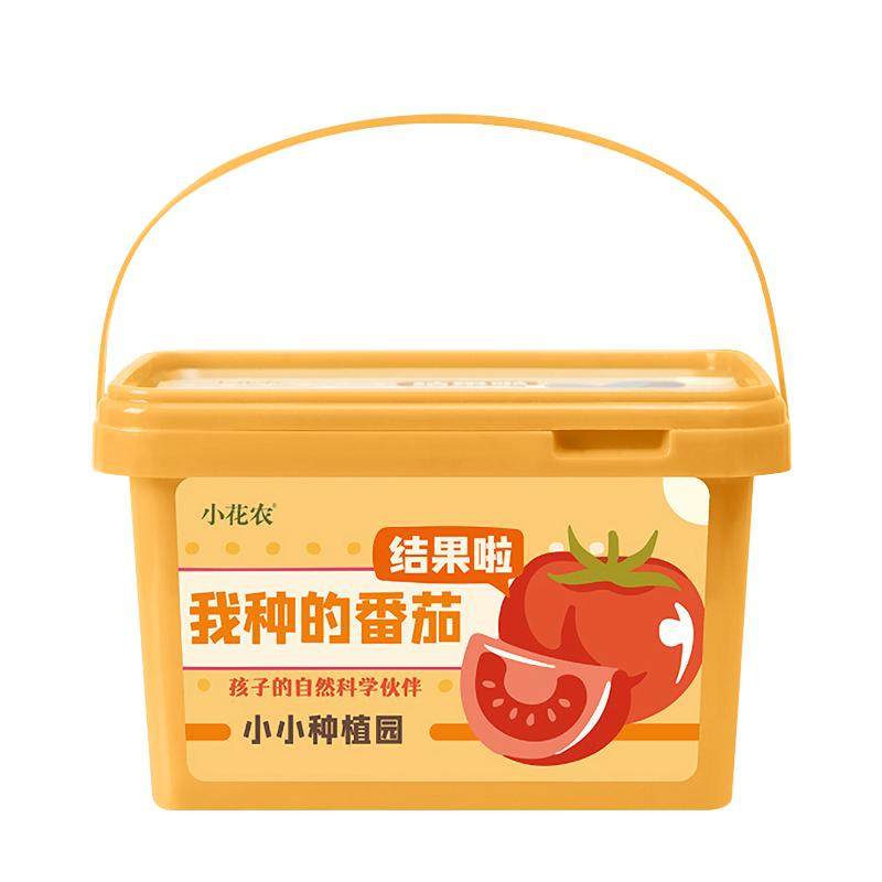 水生田儿童种植小盆栽简单易活