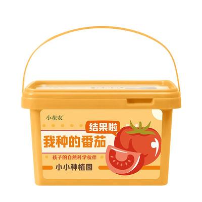 水生田儿童种植小盆栽简单易活