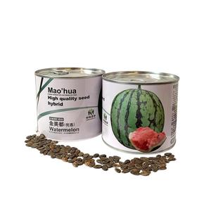 高纯金美都高产西瓜种籽薄皮早熟麒麟8424种子南方麒麟瓜
