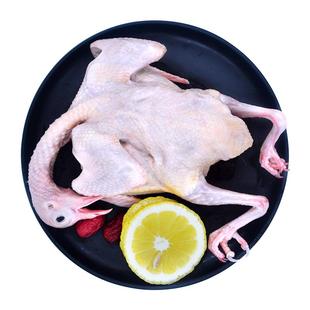 顺丰【3只装】上海崇明乳鸽新鲜鸽子肉鸽孕妇滋补土鸽清蒸煲汤