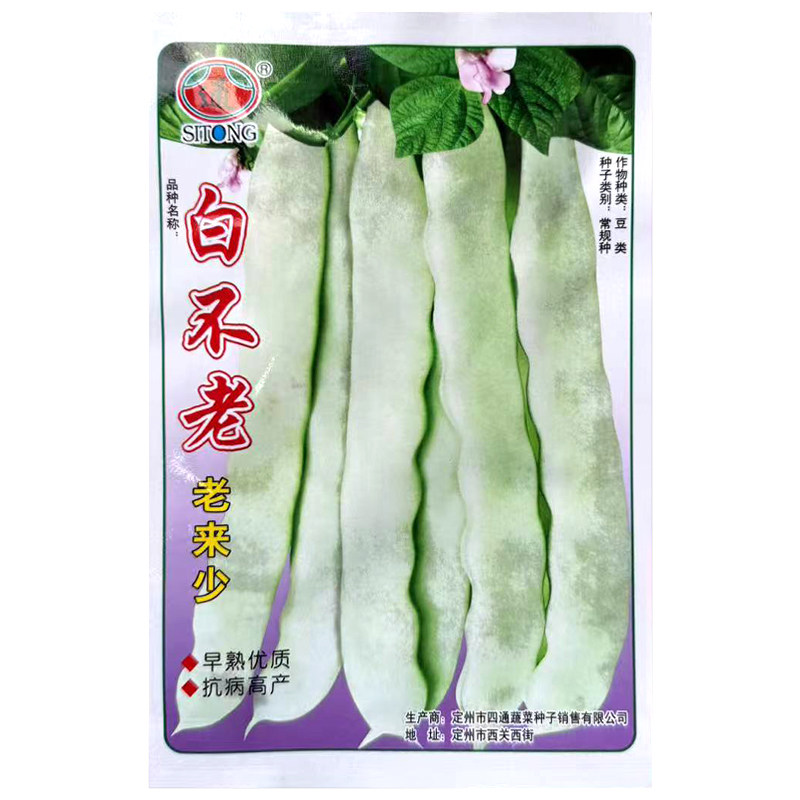 九粒白架豆种子 芸豆种籽大全 高产老来少白不老豆角四季蔬菜种孑