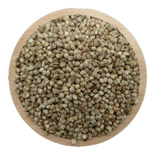 火麻子鸟粮麻子鹦鹉粮麻子籽火麻籽麻籽小麻子仁鸟食火麻仁中药材