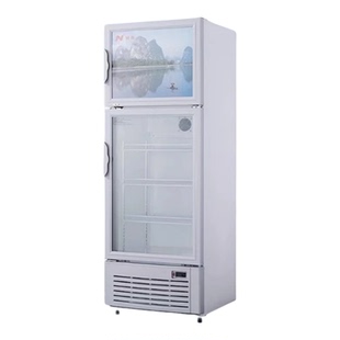兴南立式展示冰柜上下门双温柜急冻冷藏冷柜带锁冰箱 LDG-298/348
