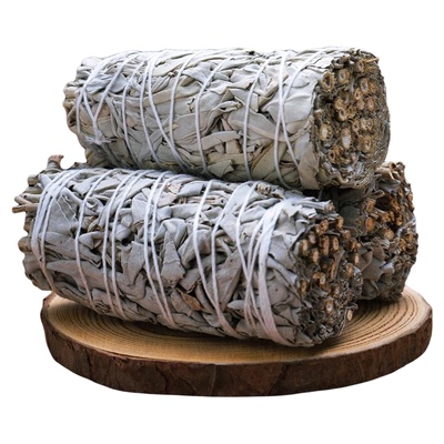 加州白鼠尾草蓝鼠尾草