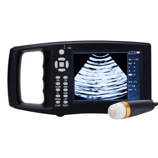 兽用B超机高清母猪测孕仪器牛羊用b超畜牧彩超机便携超声波比超机