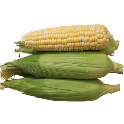 云南红河甜玉米新鲜|214人收藏