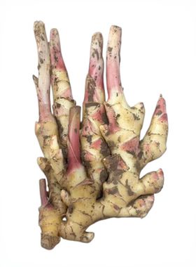 正宗红芽仔姜新鲜嫩姜子姜生姜5斤带泥发货农家自种现挖当季食用
