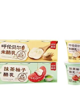 伊利畅轻酸奶抹茶柚子低温酸奶