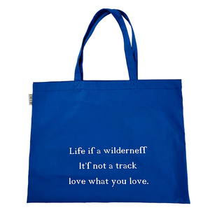 新款春夏韩系小众蓝色帆布袋小清新字母印花大容量百搭薄款单肩包