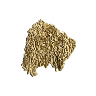 熟组合粉 东北旱黄瓜子黑豆黑芝麻核桃仁 500g 包邮 含糖