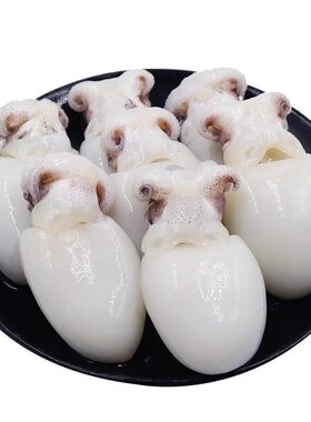 新鲜速冻墨鱼仔海鲜水产去皮去内脏乌贼花枝小章鱼顺丰包邮