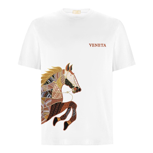 男生国潮短袖t恤重磅刺绣圆领纯棉青年宽松休闲半袖男式2024新款