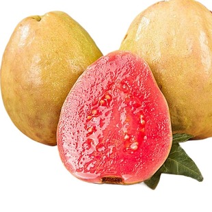 红心芭乐软心水果新鲜包邮整箱低糖泡果汁巴乐胭脂红番石榴软糯