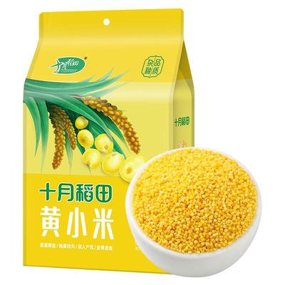 十月稻田黄小米1kg米香浓郁