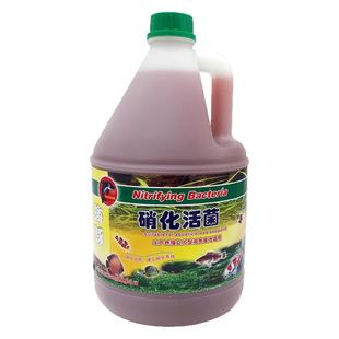 海豚硝化细菌水质澄清剂鱼缸安定剂3.8升大桶5升净水除氯养水培菌