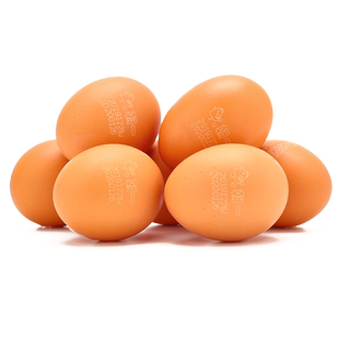 朝一可生食鲜鸡蛋60枚/3000g精选日料可生吃无沙门氏菌可做溏心蛋
