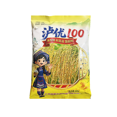 水稻种子泸优100米好吃口感软糯