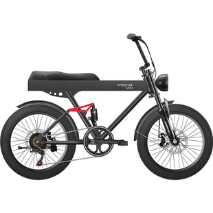 凤凰20寸锂电池成人双减震宽胎雪地沙滩变速车代步电动电瓶车