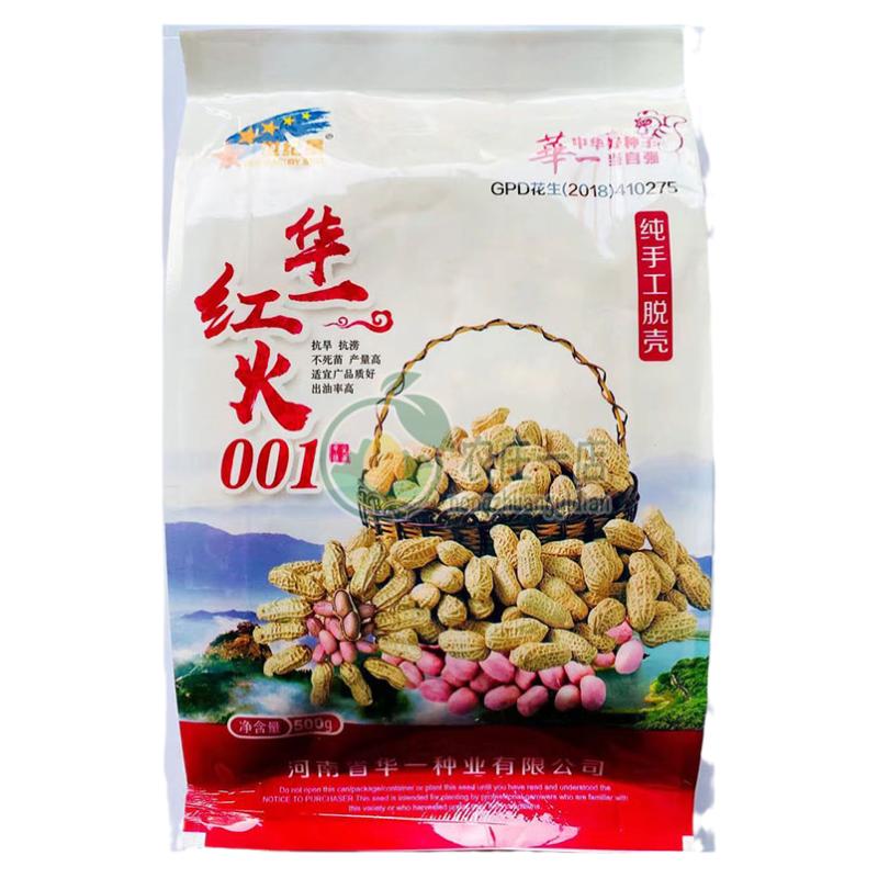 高产大粒红花生种子种籽脱壳红皮