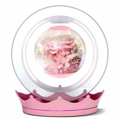 女生专属礼物天猫精灵悬浮永生花