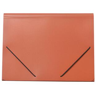 三年二班文件夹文件袋资料册透明插页A4风琴包初中生小学生整理a4卷子试卷夹收纳袋合同档案分类商务办公神器