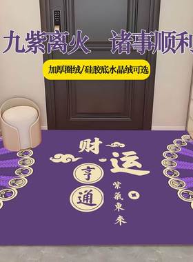 紫色门口脚垫进门入户地垫玄关圈绒加厚地毯暴富好运九紫离火垫子