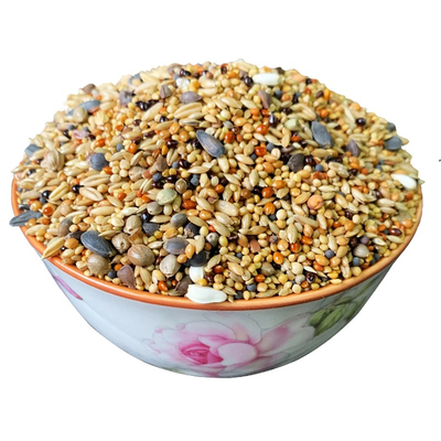 玄凤牡丹虎皮中小型饲料杂粮
