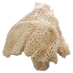 自然生长宜宾长宁蜀南竹海长裙竹荪干货农家野生竹笙特级新鲜无硫