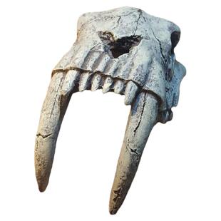 生态水族小鱼缸躲避屋仿真头骨造景假山水草装饰水族箱小鱼窝摆件