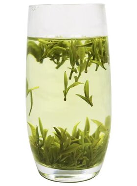 正宗霍山黄芽2026年新茶明前春茶