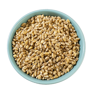 甘松中药材250g 甘松香料正品新货 甘松根可泡脚 可磨甘松粉干松