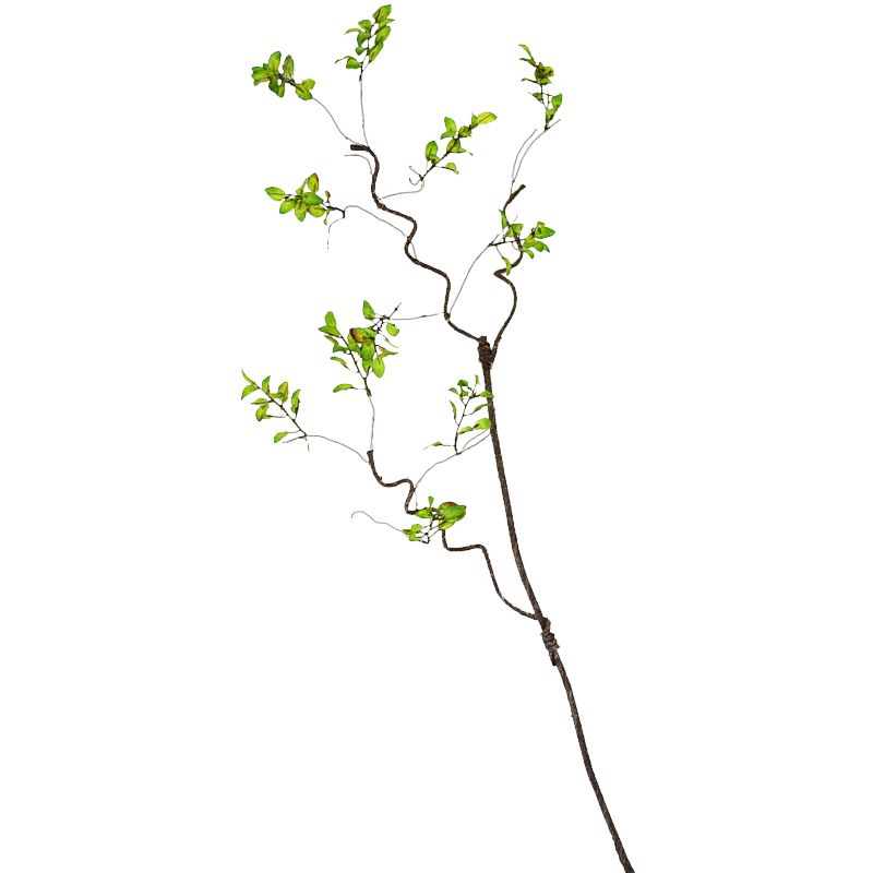 仿真树藤枯藤藤条装饰藤蔓树枝树干假树叶婚庆吊顶植物绿植树枝