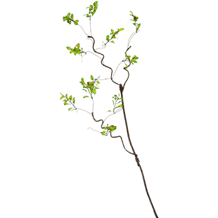 仿真树藤枯藤藤条装饰藤蔓树枝树干假树叶婚庆吊顶植物绿植树枝