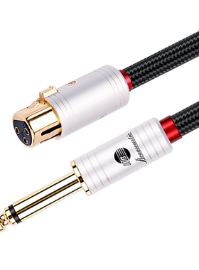 JIB德国蟒蛇6.5转大二芯音频线
