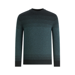 SHANSHAN杉杉官方100%纯羊毛衫男士2025秋冬季新款保暖针织毛衣男