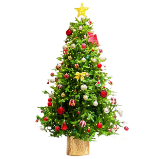 圣诞树真树客厅盆栽大型云杉树2025新款圣诞节家用诺贝松树