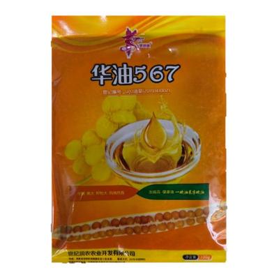 华油567油菜种子杂交花黄籽早熟高油率油菜籽高产甘蓝型油菜种子