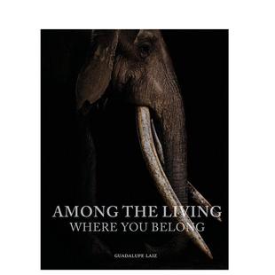 【预售】在生者之中：你属于哪里英文摄影摄影师专辑进口原版外版书精装14岁以上Among the Living: Where You Belong Guadalupe