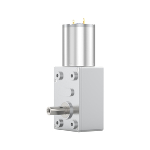 威恒JGY370大扭矩慢速马达轮涡轮蜗杆24v直流减速电机12V低速电机