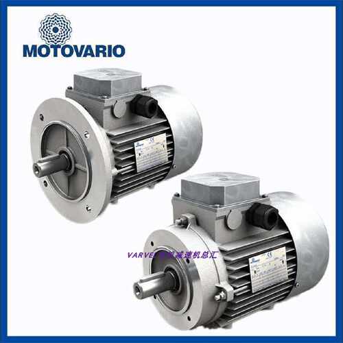 售前询价全新MOTOVARIO电机 摩多利三相异步电机T132M2 11KW B3/B