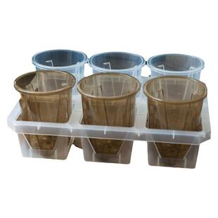 10cm蝴蝶兰塑料高透观根盆组合托架热植月季秋海棠角堇水苔花盆